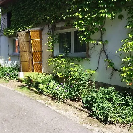 Harzgeist *